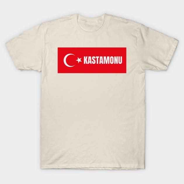 Kastamonu City in Turkish Flag T-Shirt by aybe7elf